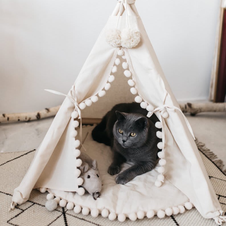 Best Pet Accessories: Cute Dog Beds, Chic Cat Trees, and More for Your Home