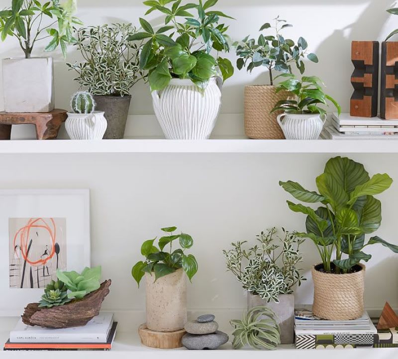 Luxe Artificial Plants for Home Decor That Look as Good as the Real Thing