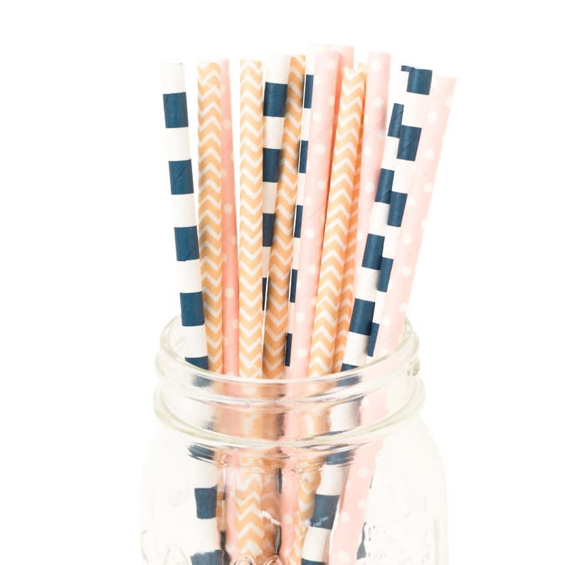 Cactus Straw | Succulent Party Straw | Bachelorette Cactus Straws | Decorated Straws Orange by Succulents Box